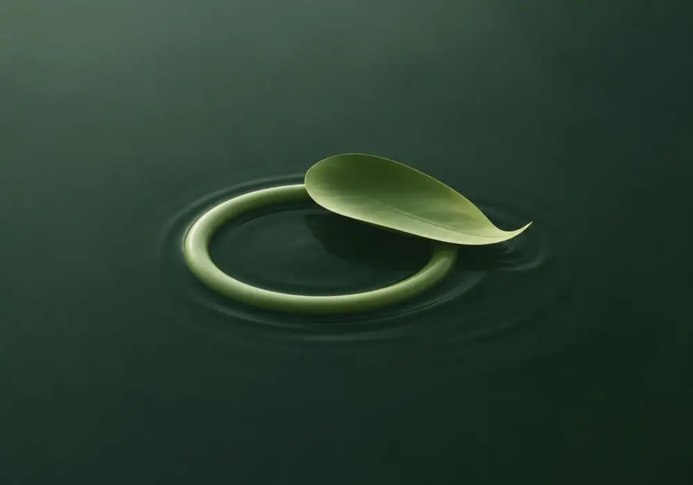 A leaf resting inside a single ring of ripples
